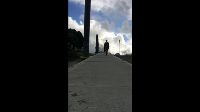 Cella Petrelli's Promo Video